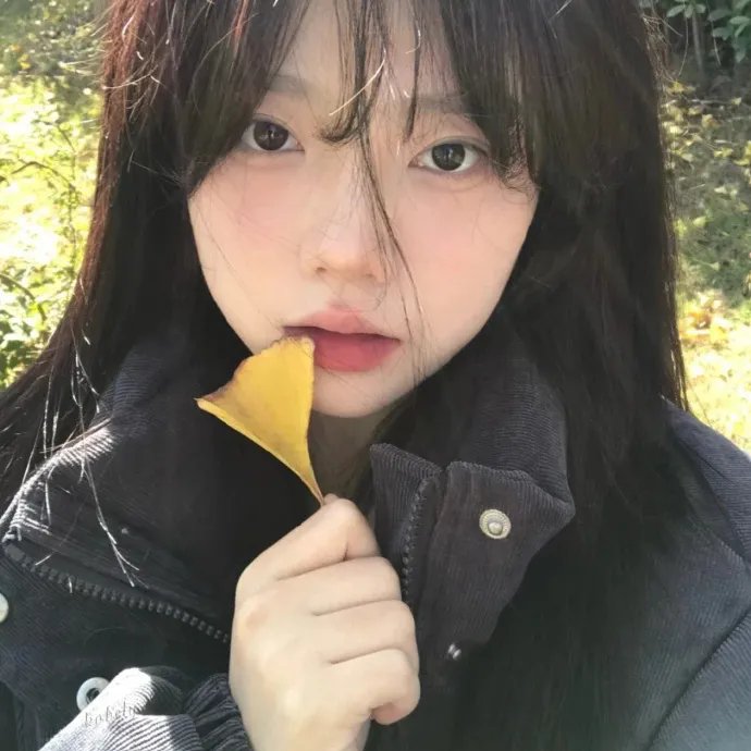 惹不起的殿下大人